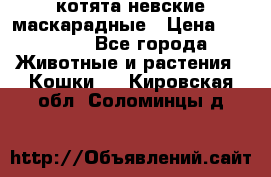 котята невские маскарадные › Цена ­ 18 000 - Все города Животные и растения » Кошки   . Кировская обл.,Соломинцы д.